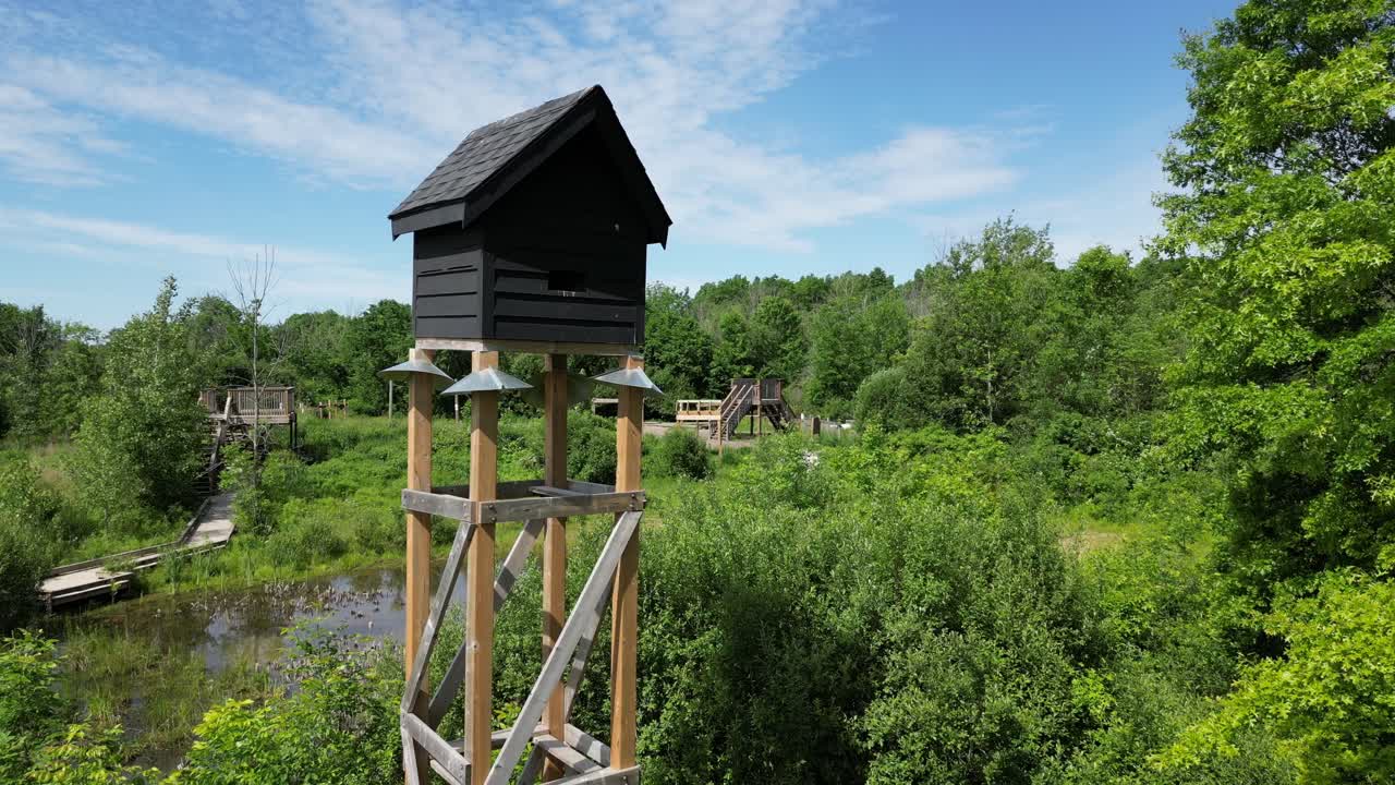 숲, 여름날, 내림차순 샷에서 박쥐 보호 집 산부인과 휴식처