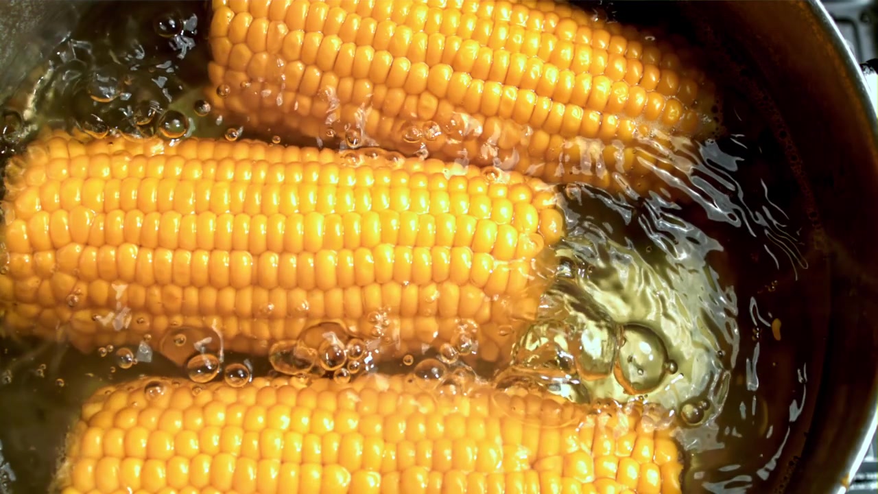 Fresh Corn on the Cob Boiling in a Pot