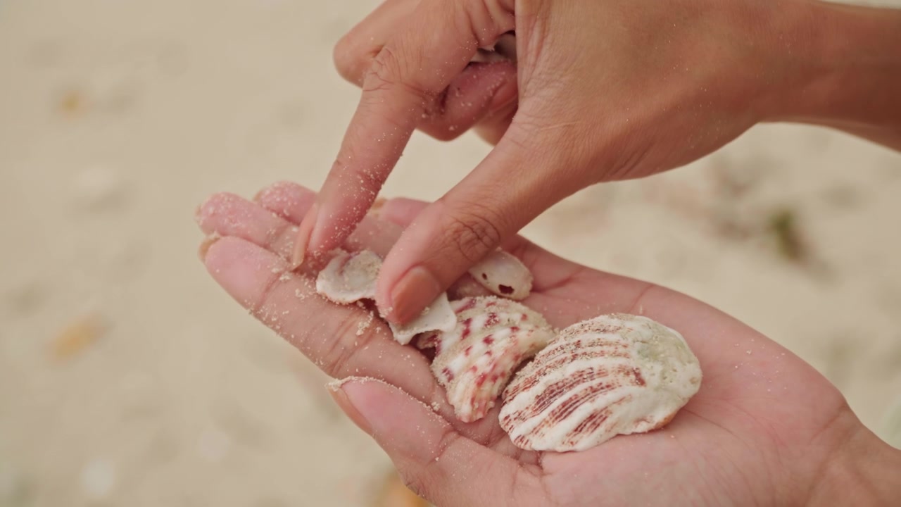 Asian woman hands holding shells on beach, soft sand granules, gold bracelet on wrist, collection of pink and white scallop fragments, gentle palm display, slow motion, warm sunlight, tranquil seaside