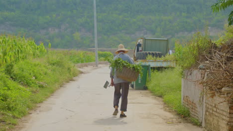 rural chinese farmer walks away from camera with tool and his harvest