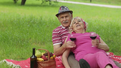 Familienwochenende-Picknick-Im-Park.-Aktives-älteres-Altes-Kaukasisches-Paar-Sitzt-Auf-Einer-Decke-Und-Trinkt-Wein