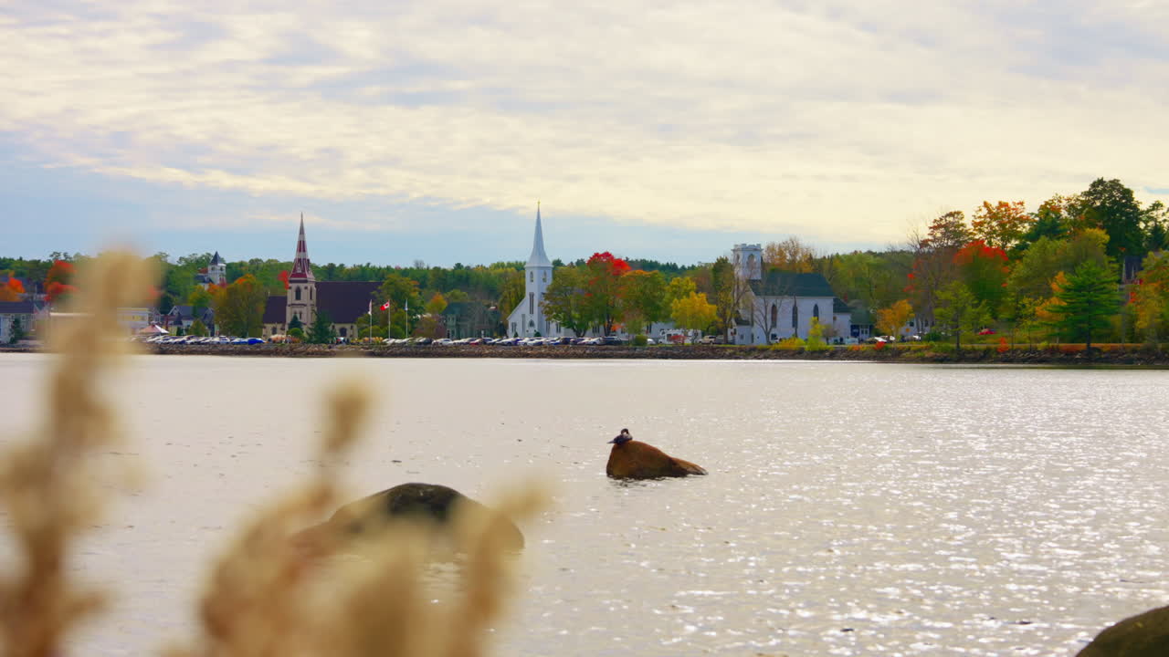Static shot of the picturesque landscape of a local town in Nova Scotia, Canada. View of Lake and the local Churches in the background.