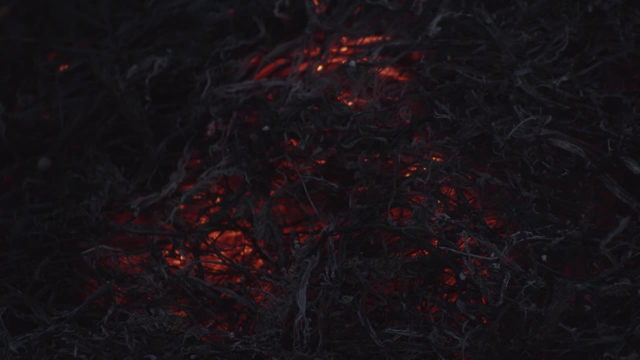 Embers of a warm campfire at night, static close up shot