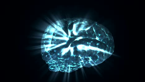 glowing human brain rotating around on black background. light is shining through brain. 3d rendered looping animation.