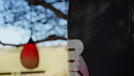 punching bag hanging outside in outdoor environment