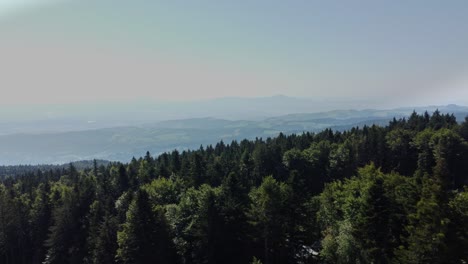 A-panoramic-view-shows-a-thick-forest-and-a-hazy-sky-in-Eastern-Europe