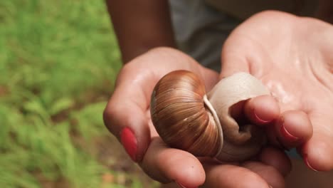 Close-up-a-of-a-large-snail-crawling-on-a-woman’s-hands-in-the-middle-of-a-forest-hike