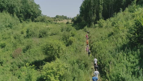 aerial shot of people running a competition on a trail in a small valley through the woods during summer