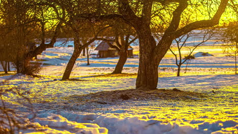 trees in a snowy landscape and a wooden cabin, sunset sunlight in the background