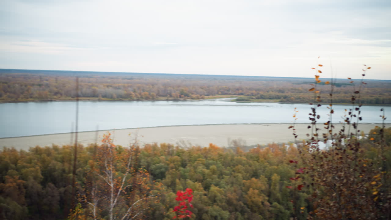 vista panorámica de la naturaleza llena de coloridos árboles de otoño a lo largo de una orilla del río, mostrando el follaje de otoño vibrante y el río pacífico que refleja la belleza de la naturaleza en el fondo