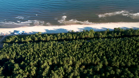 aerial flyover dense forest trees and sandy beach with tranquil baltic sea in summer - poland,europe