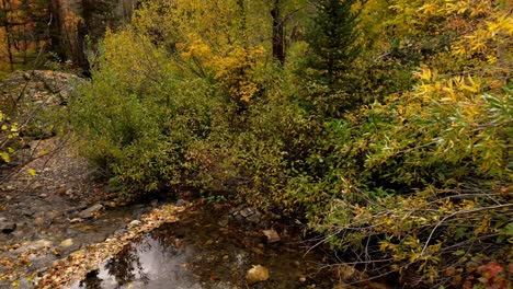 drone slowly flying over a river in late autumn fall october november lots of colorful trees as you move forward through the forest seeing a beautiful boulder rock going over it into the dense forest