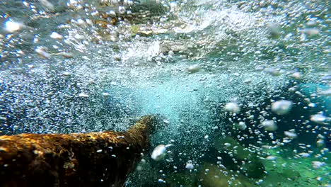 Underwater-View-of-Oxygen-Bubbles-in-Crystal-Clear-Spring-Water,-Slow-Motion