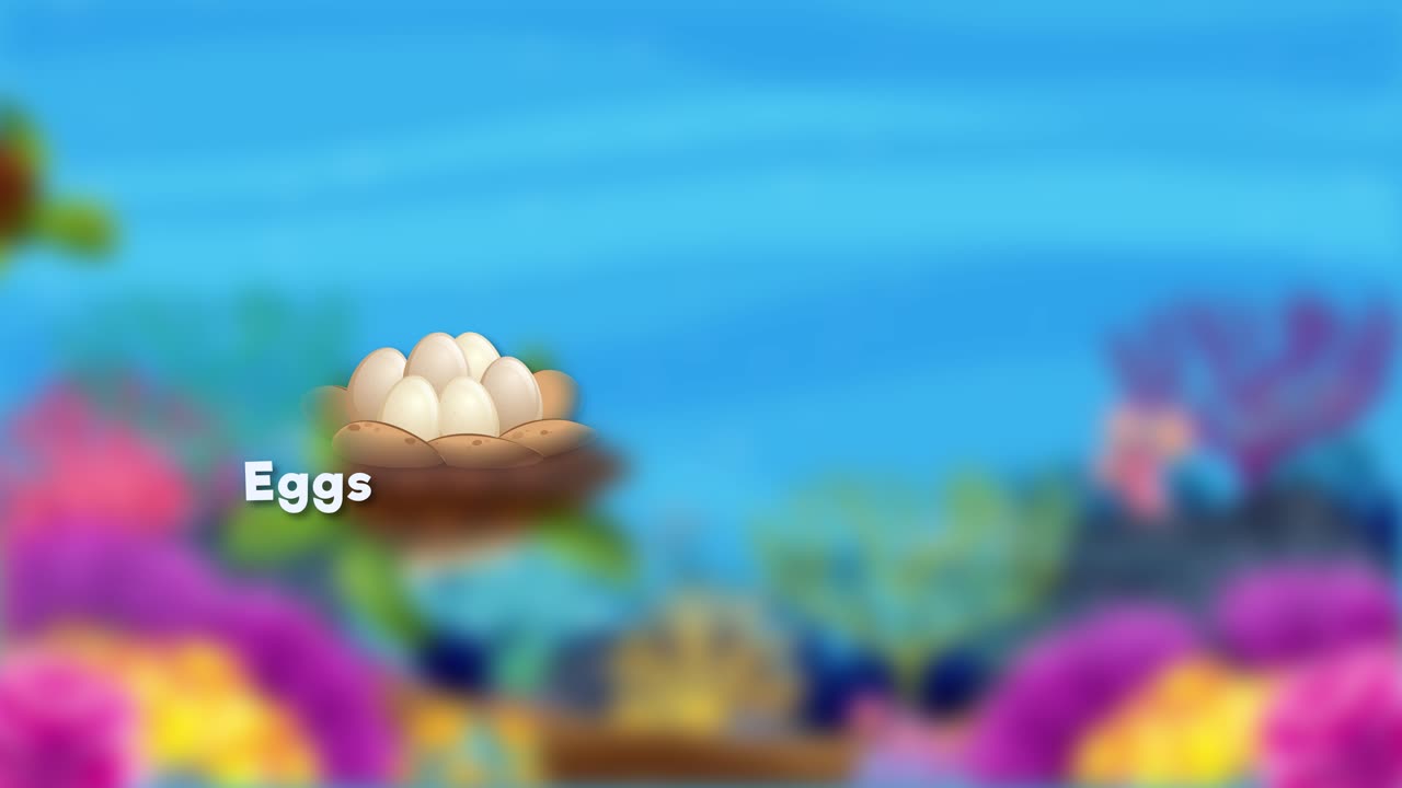 Animated journey from turtle egg to adulthood.