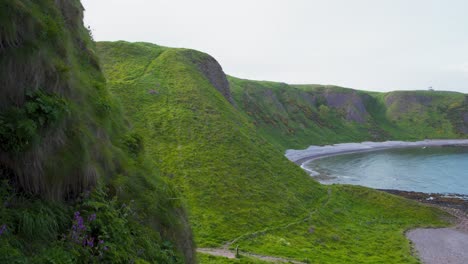 Acantilados-De-Hierba-Verde-Sobre-La-Bahía-Del-Mar-De-Castle-Haven-En-Escocia