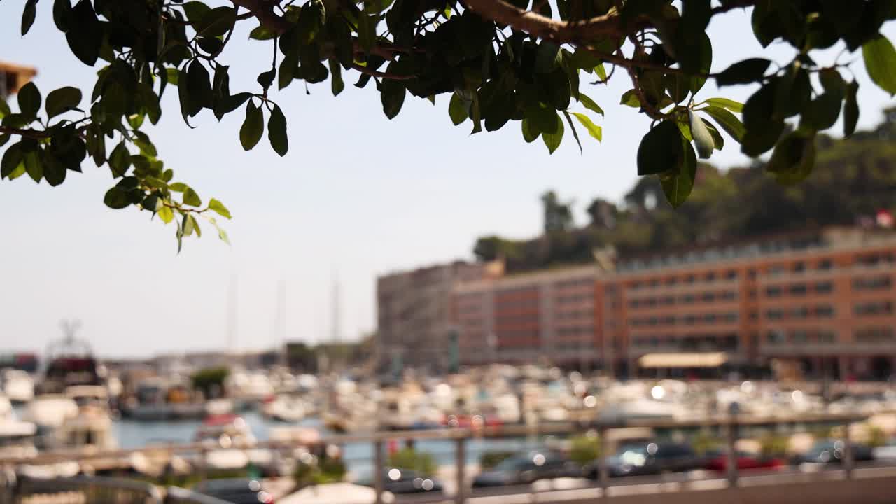 앞면 에 나무 잎 이 있는 흐릿 한 항구 장면