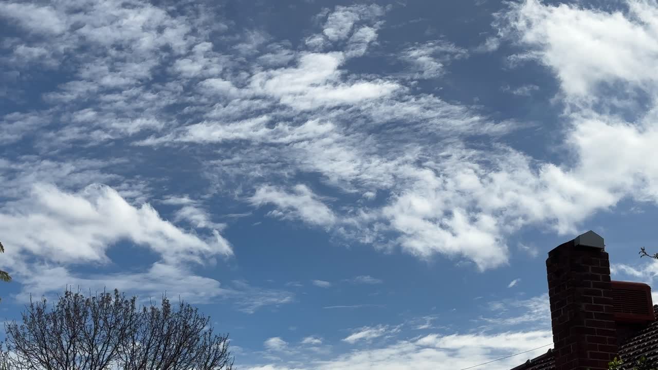 웨스턴 오스트레일리아 퍼스 교외 의 굴 ⁇  과 나무 위 에 있는 파란 하늘 을 가로질러 두 가지 다른 방향 으로 움직이는  ⁇ 색  ⁇ 은 구름