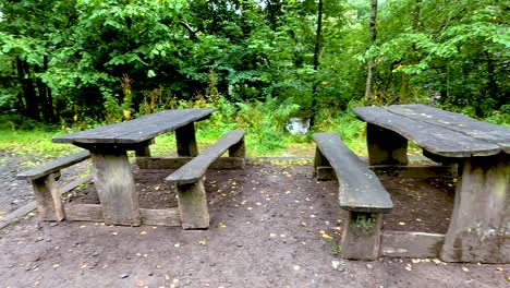 rustic benches amidst lush greenery in dunkeld