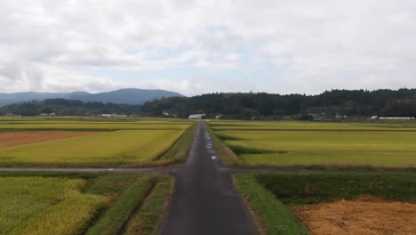 despegue de las carreteras a los campos de arroz y montañas japonesas