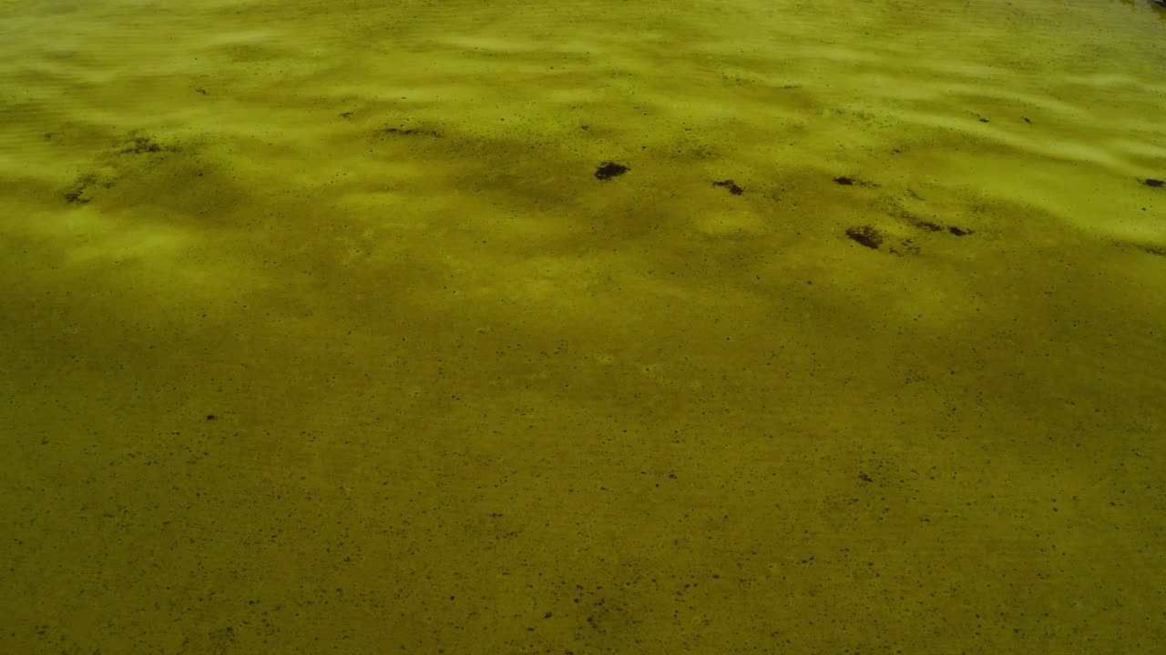 Acqua bassa con sedimenti e chiazze scure sparse che creano delicate increspature sulla superficie, evidenziando un tranquillo ambiente acquatico naturale con movimenti minimi