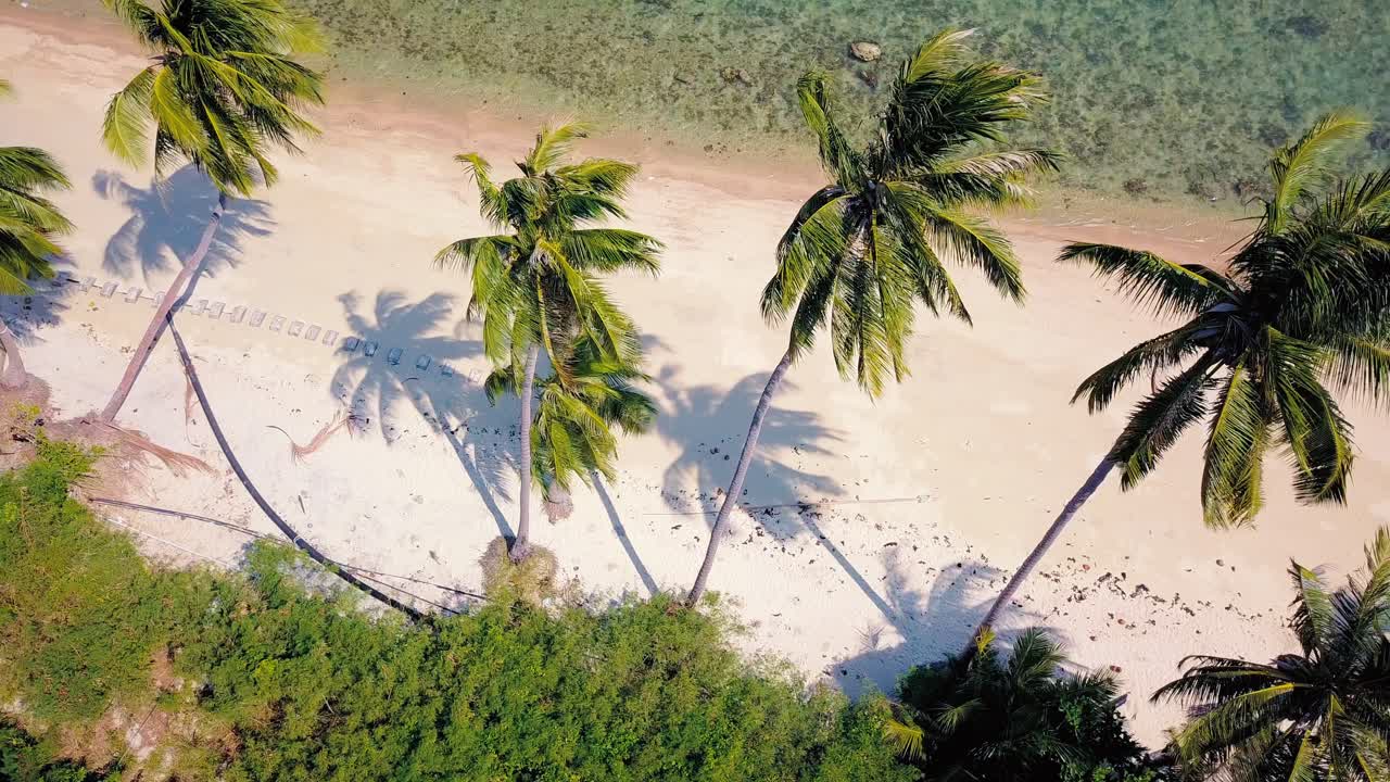 일몰에 야자수가 있는 열대 모래 해변, 일출, 트렁크를 통해 날아가는 공중 돌리 샷, 하와이의 야생 자연 그대로의 해변