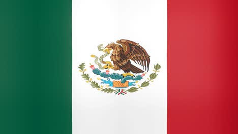 waving flag of mexico looping background