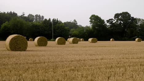 Heuballen-Auf-Dem-Feld-Nach-Der-Ernte