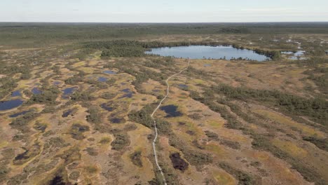 aéreo: un estrecho paseo marítimo conduce a través del pantano del norte a un pequeño lago
