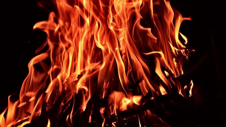 Some pieces of wood are burning in the campfire. Beautiful orange flames at black backdrop.