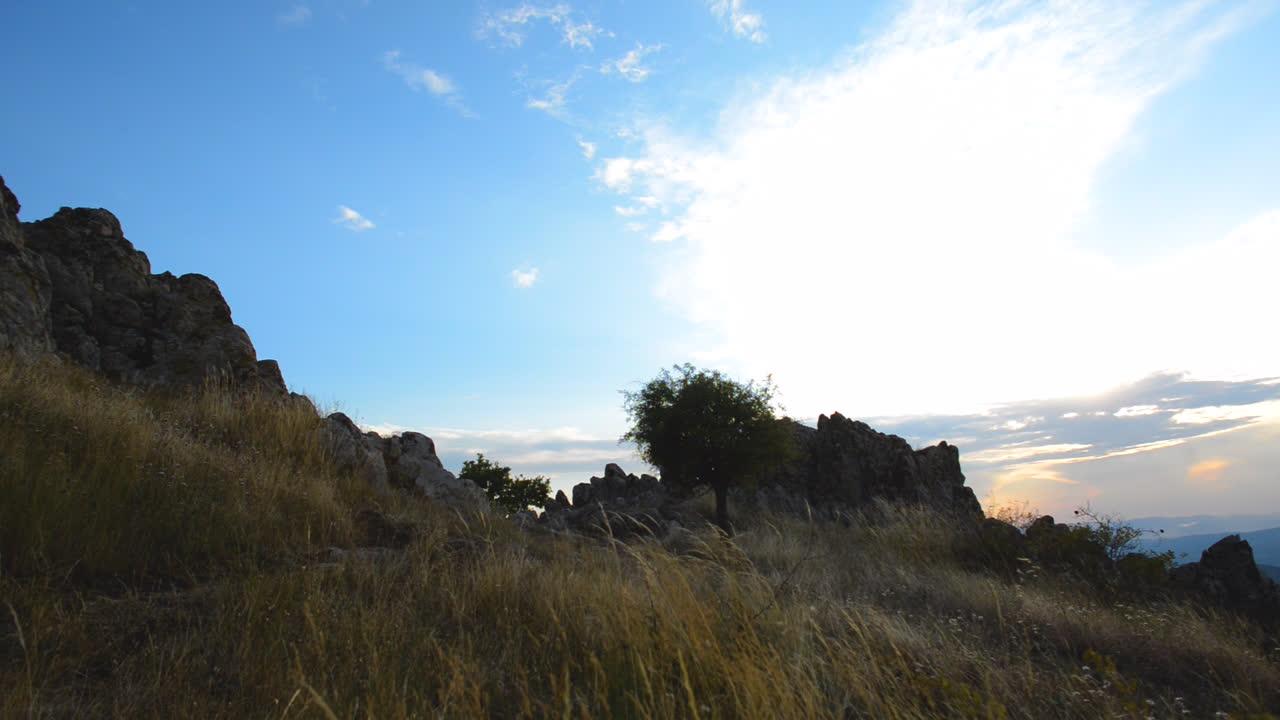 산 카메라에서 바위는 외로운 나무의 넓은  ⁇ 으로 패닝하고 주변의 산과 숲을 보십시오