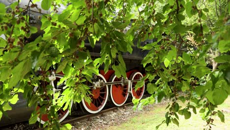 Close-up-on-vintage-steam-train-with-black-metal-body-and-red-and-white-wheels-standing-on-track-surrounded-by-trees-in-Italy