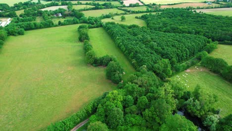 Empty-dirt-road-in-Sweden-countryside-with-green-trees,-aerial-view