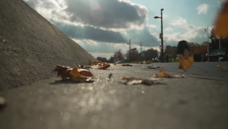 low angle on sidewalk as leaves blow towards camera