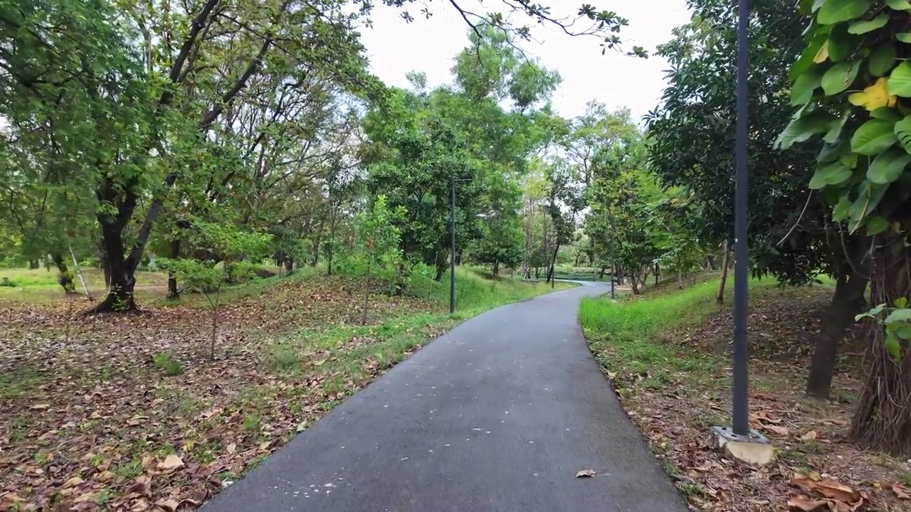 Forest Park zone within Benjakitti Park in Bangkok, Thailand
