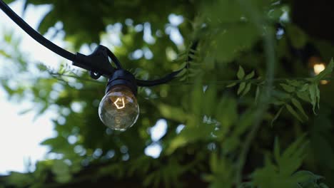 una bombilla que cuelga de un pabellón al aire libre con hiedra creciendo a su alrededor durante el verano