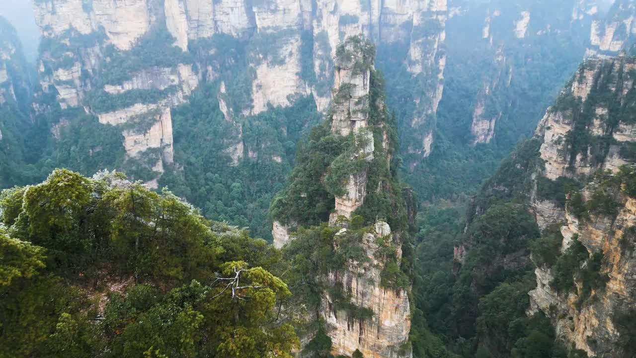 vuelo aéreo cerca de la cima de los picos de las montañas en el parque nacional de zhangjiajie en wulingyuan, hunan, china, con las famosas montañas cársticas - las montañas avatar aleluya