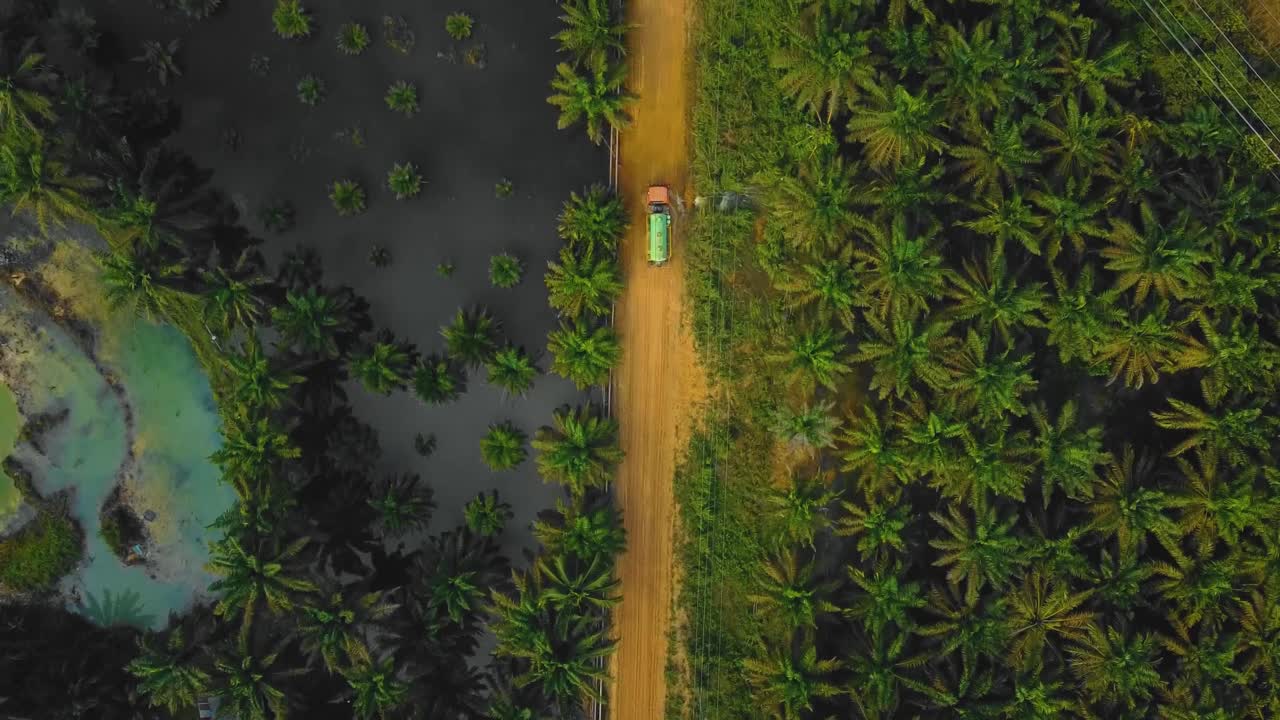 Cinematic Drone Footage of Vacuum Truck sequences in the middle of the jungle surrounded by palm oil trees deforestation located in Indonesia in full HD.
