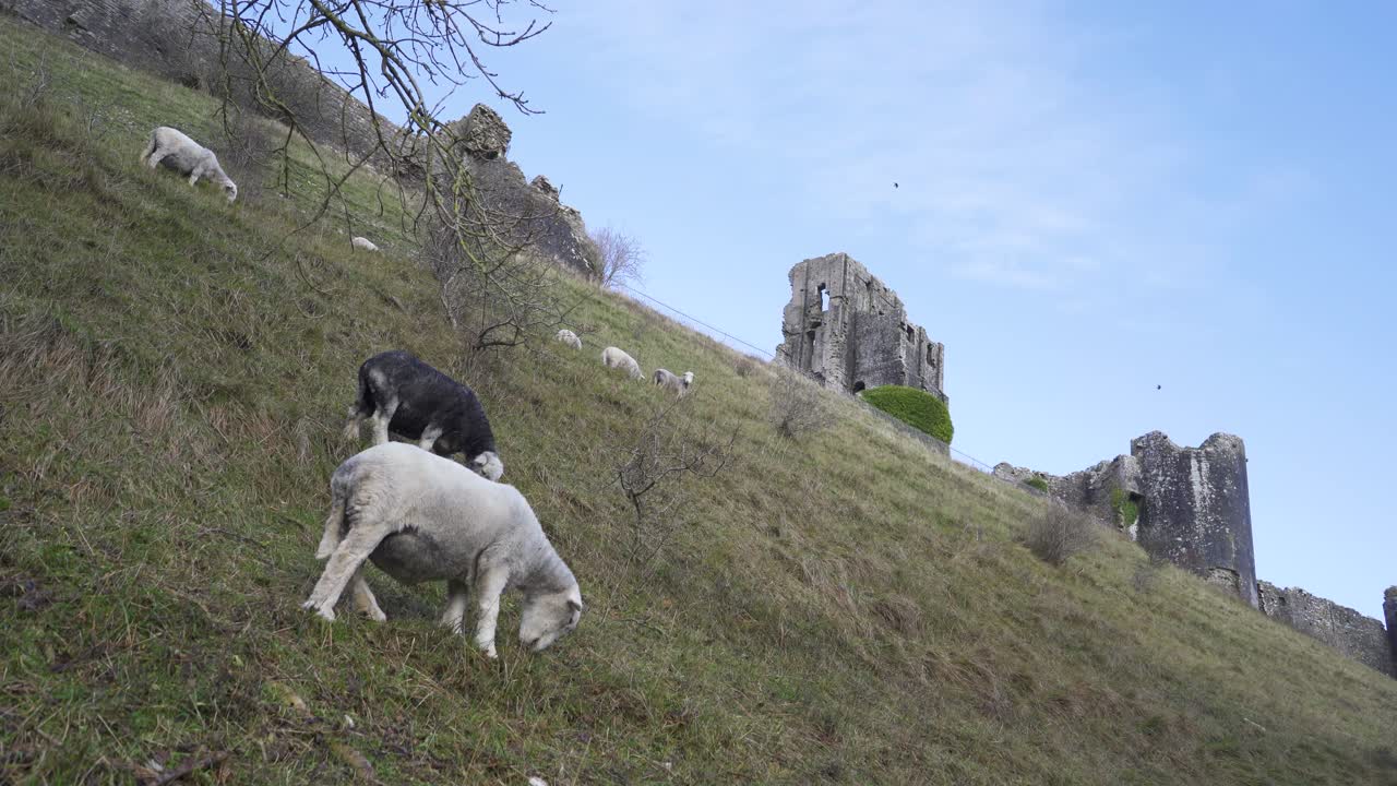 corfecastle, dorset, england, 2019년 12월 27일: corfe는 같은 이름의 폐허가 된 성터입니다.