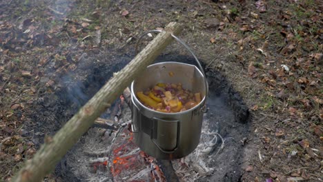 cooking food over a fire in the forest, static shot