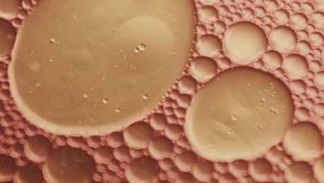 Macro top shot of scientific experiment with oil in a petri dish