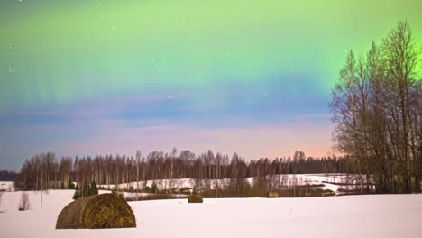 low angle shot of spectacular northern lights, aurora borealis on display in timelapse during freezing winter night over snow covered forest lit by full moon