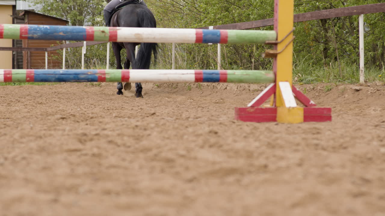 mujer joven montando caballo negro en la pista