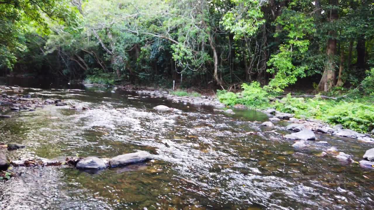 pan up to the creeks edge in slow motion