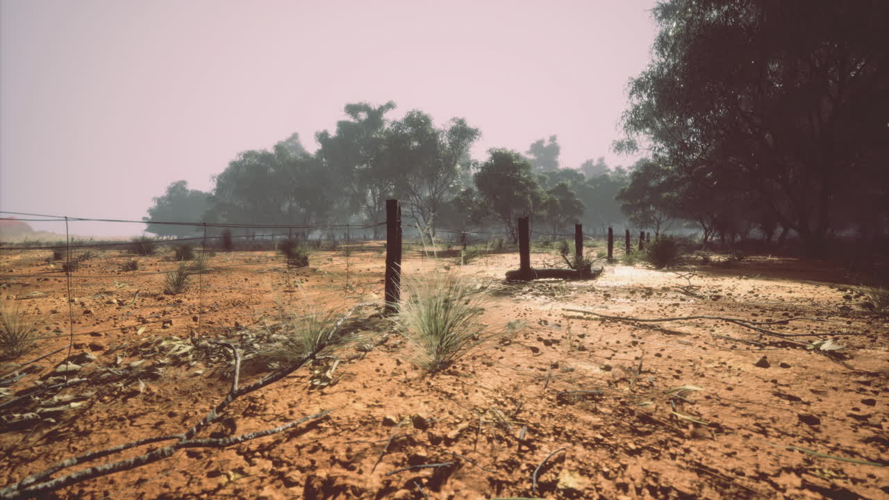 Dusty landscape with scattered vegetation and distant trees at dusk