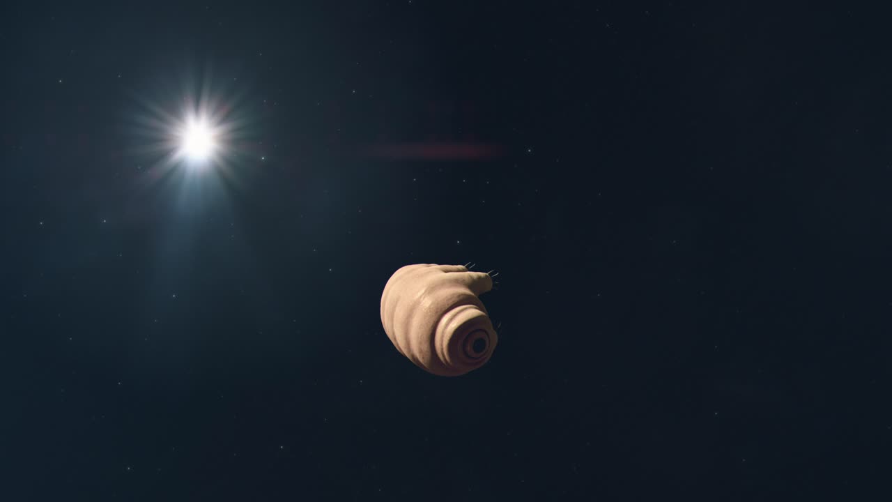 tardígrado solitario flotando en las profundidades del espacio