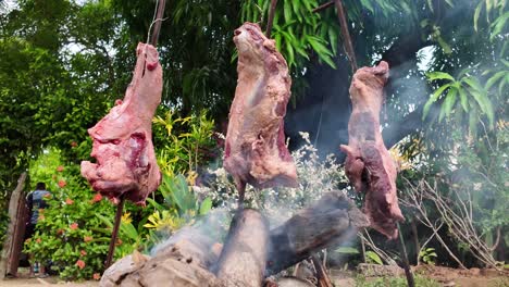 smoking meat: traditional grilling in los llanos region, venezuela