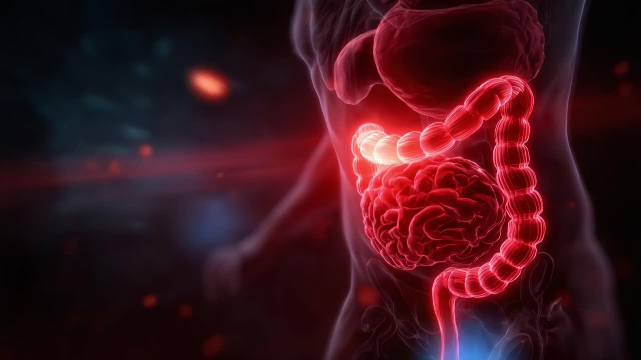 Una visualizzazione intricata del sistema digestivo umano e dell'interazione cerebrale, che illumina la complessità della salute gastrointestinale e delle connessioni neurali
