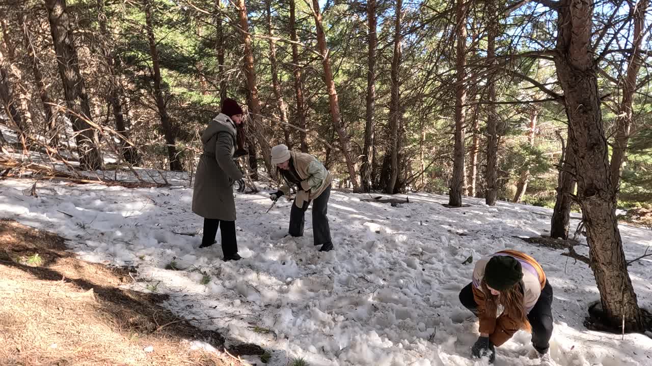 People having a snowball fight in the forest