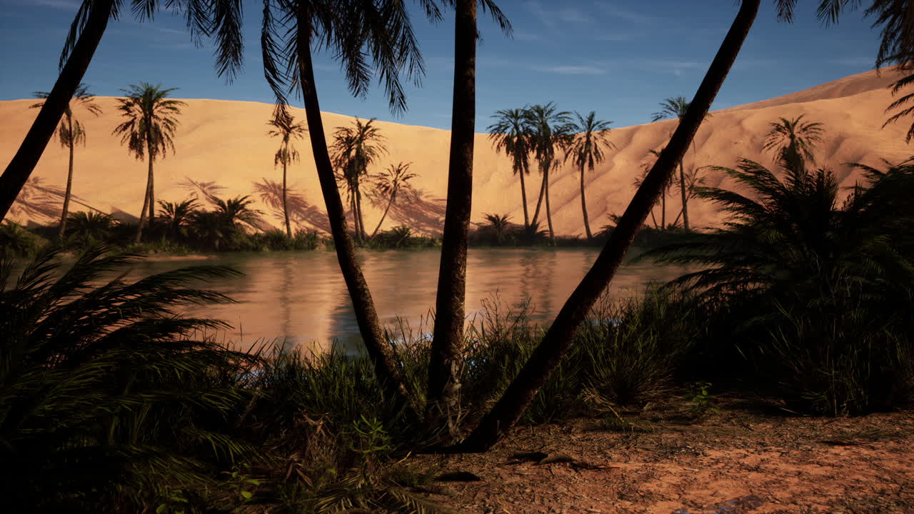 Un'oasi serena nel deserto