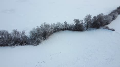 Traverse-the-enchanting-snow-laden-forest,-where-every-tree-branch-is-delicately-adorned-with-a-pristine-layer-of-snow,-creating-a-magical-atmosphere-that-transports-you-to-a-realm-of-tranquility